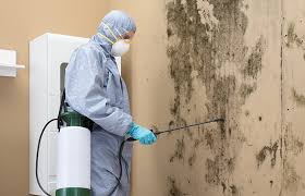 Best Mold Removal for HVAC Installations in Meadow Glade, WA